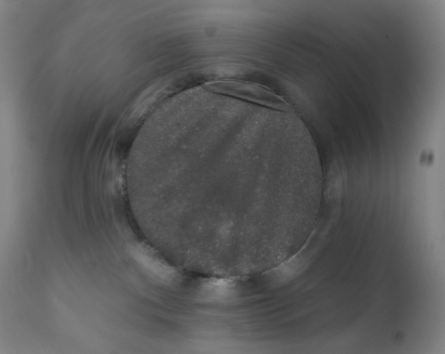 X0000110760140200907061104