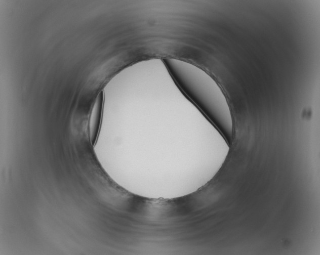X0000110760141200907061104