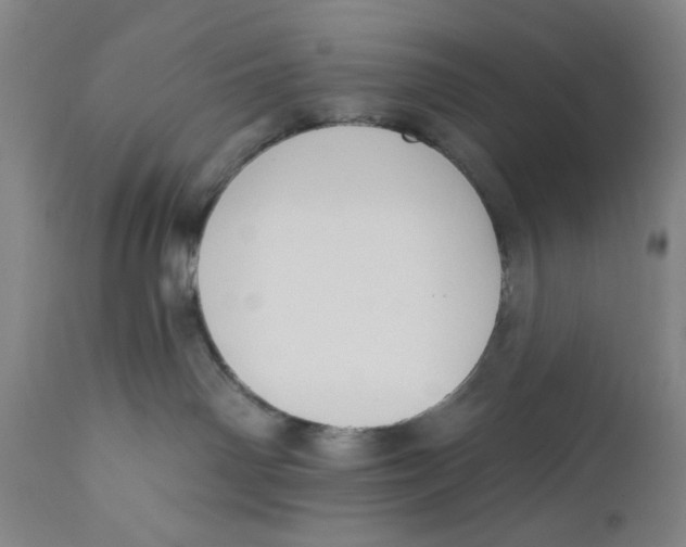 X0000110760142200907061104