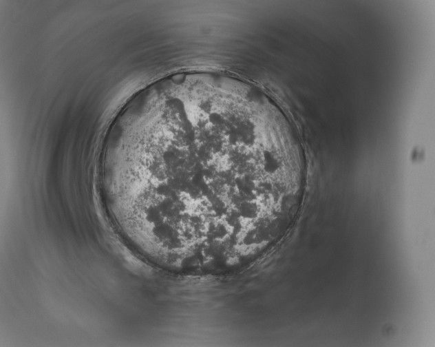 X0000110760145200907061103