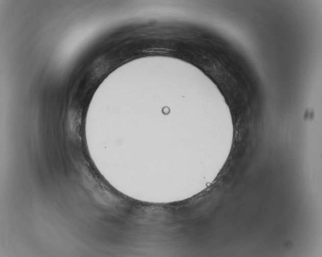 X0000110760146200907061103