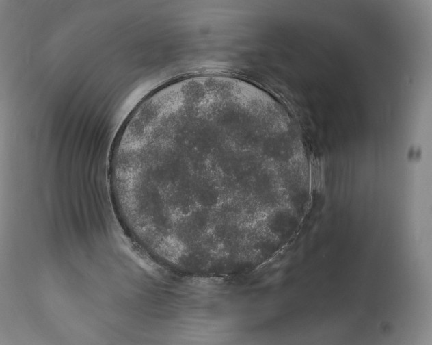 X0000110760147200907061103