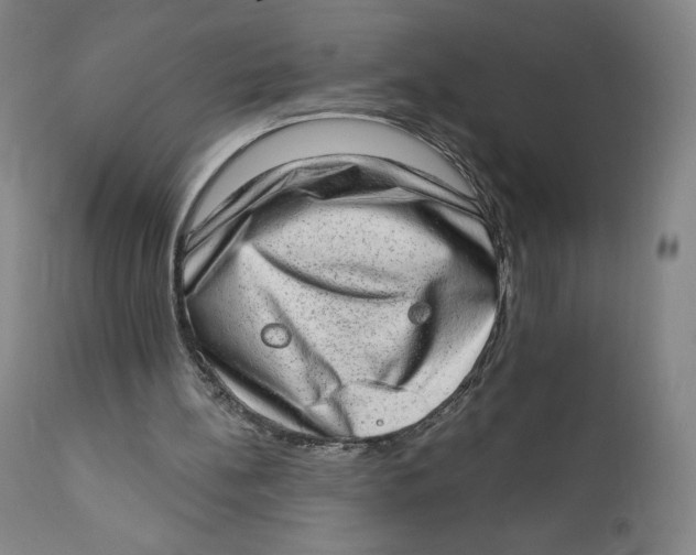 X0000110760148200907061103