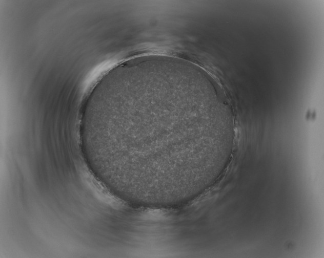 X0000110760149200907061103