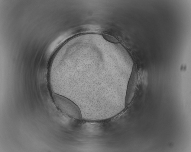 X0000110760150200907061103