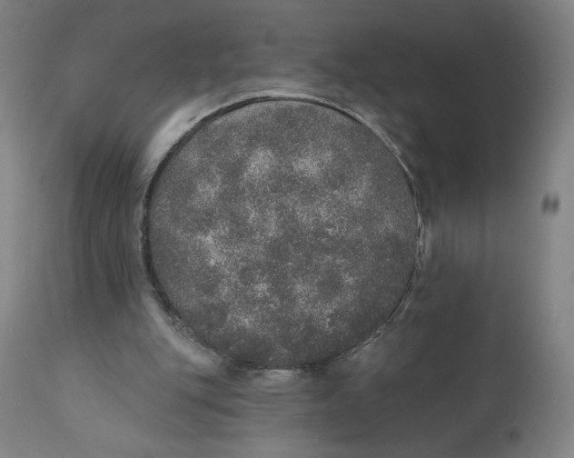 X0000110760151200907061103