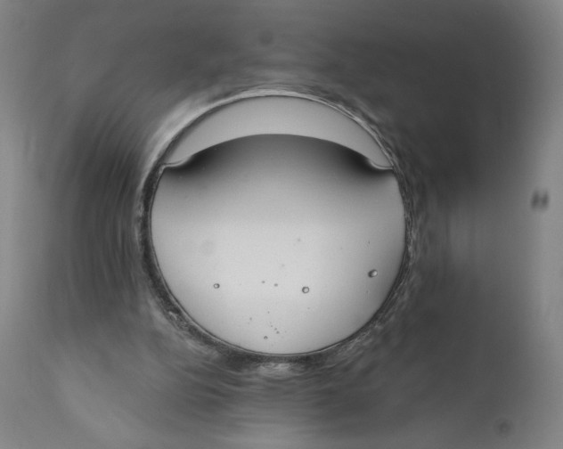 X0000110760152200907061103