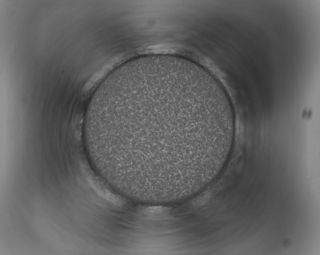 X0000110760153200907061103