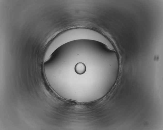 X0000110760154200907061103