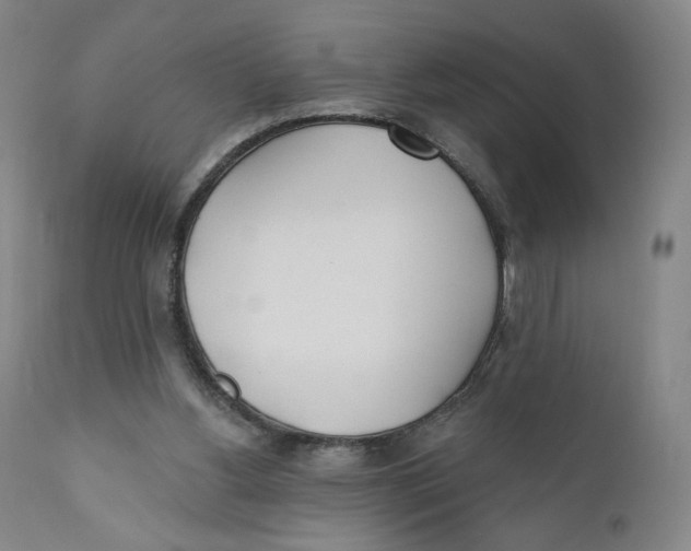 X0000110760156200907061103