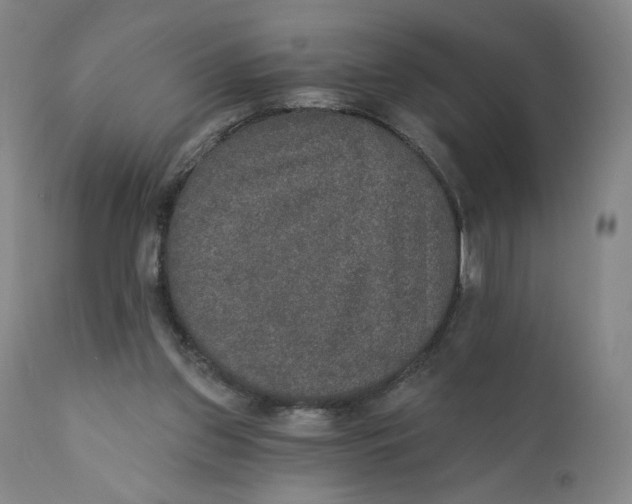 X0000110760157200907061103