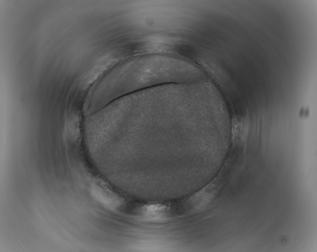 X0000110760158200907061103