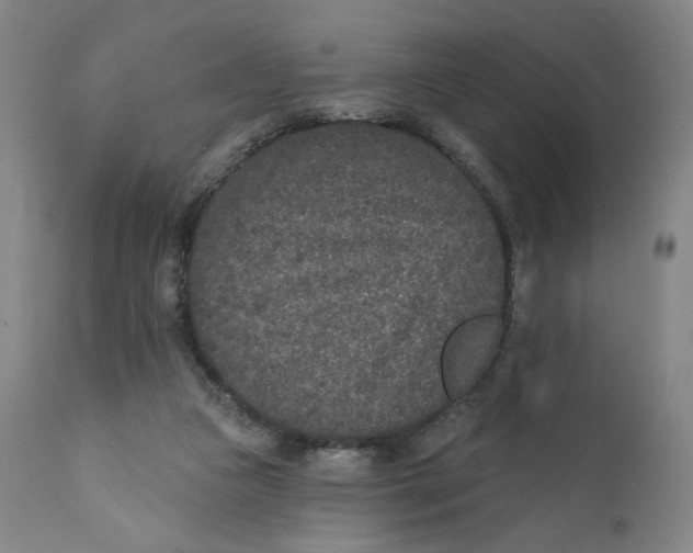 X0000110760161200907061103