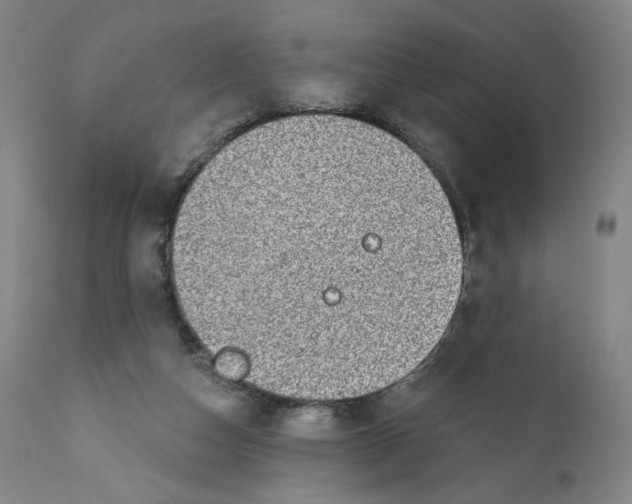 X0000110760162200907061103