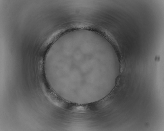 X0000110760163200907061103