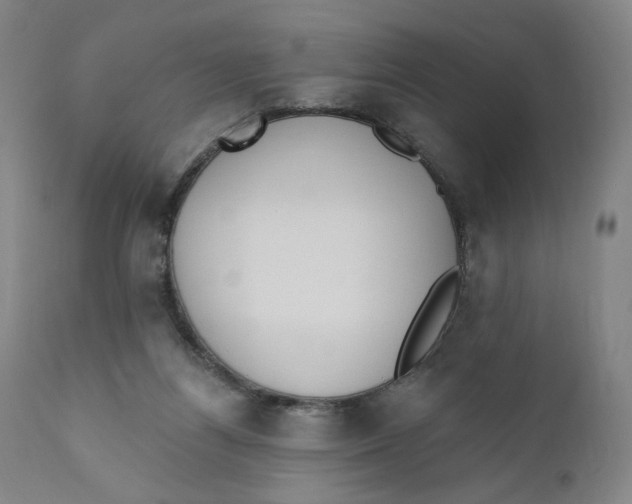 X0000110760164200907061103