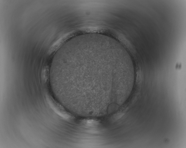 X0000110760165200907061103