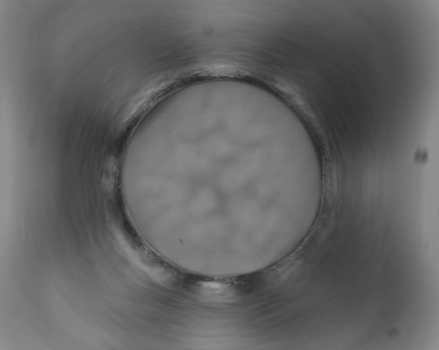 X0000110760167200907061103