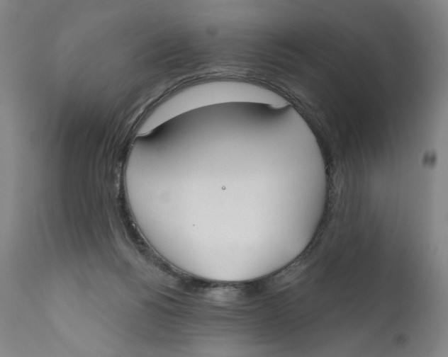 X0000110760168200907061103