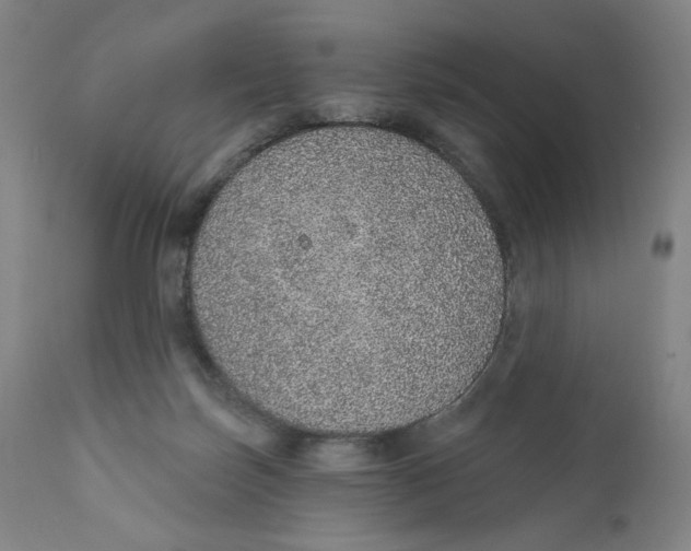 X0000110760171200907061104
