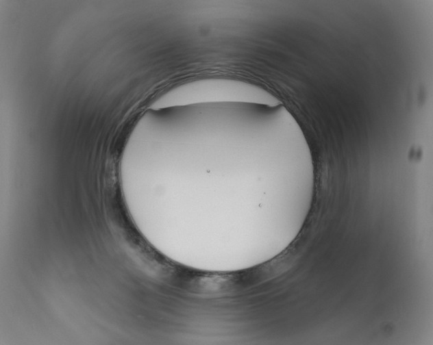 X0000110760172200907061104