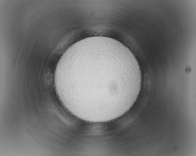 X0000110760173200907061104