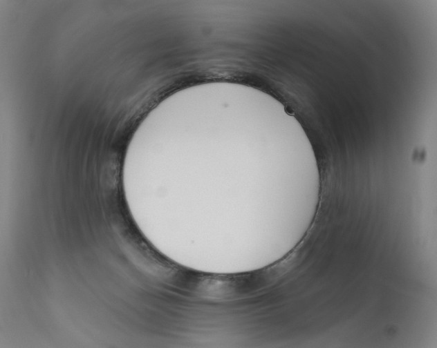 X0000110760174200907061104