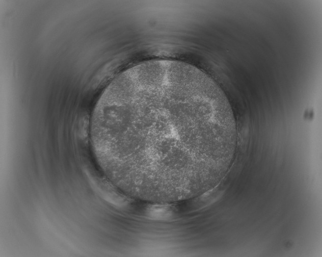 X0000110760175200907061104