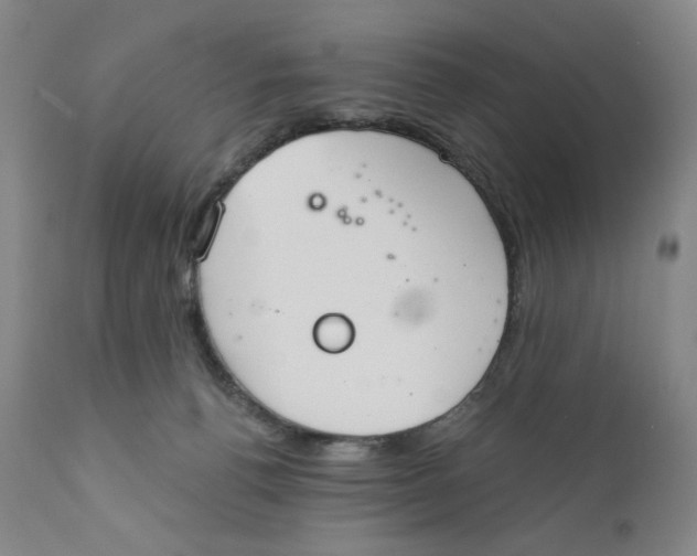 X0000110760176200907061104