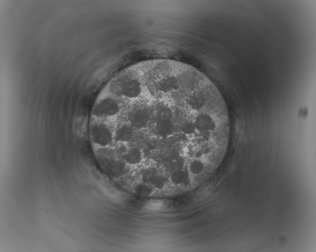 X0000110760177200907061104
