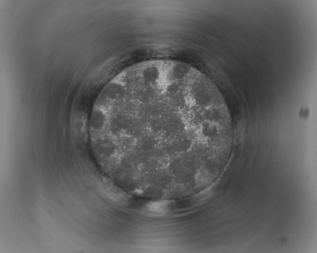 X0000110760178200907061104