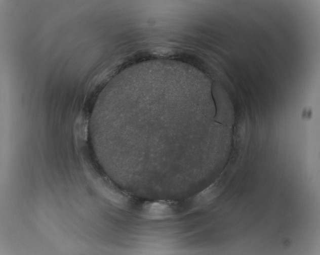 X0000110760180200907061104