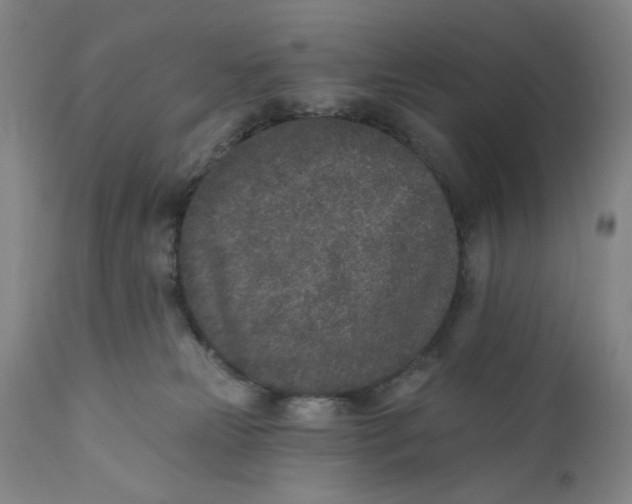 X0000110760181200907061104
