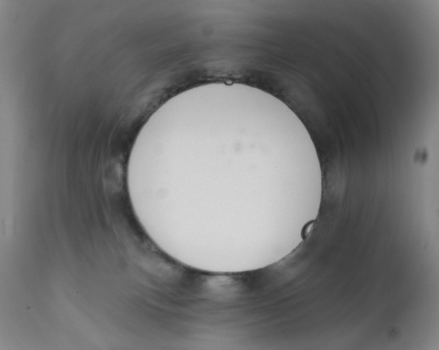X0000110760183200907061104