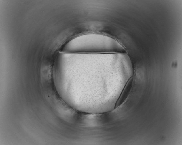 X0000110760184200907061104