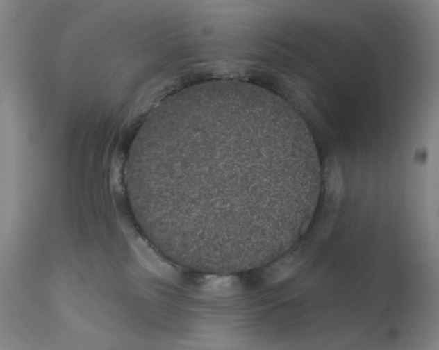 X0000110760185200907061104