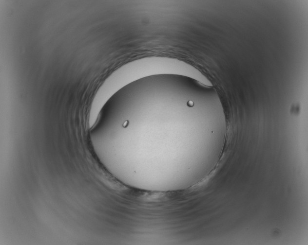 X0000110760186200907061104