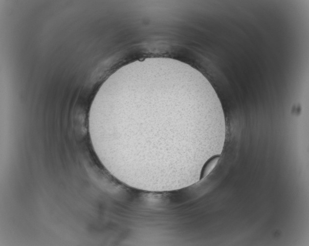 X0000110760187200907061104
