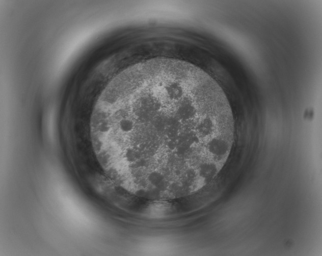 X0000110760189200907061104