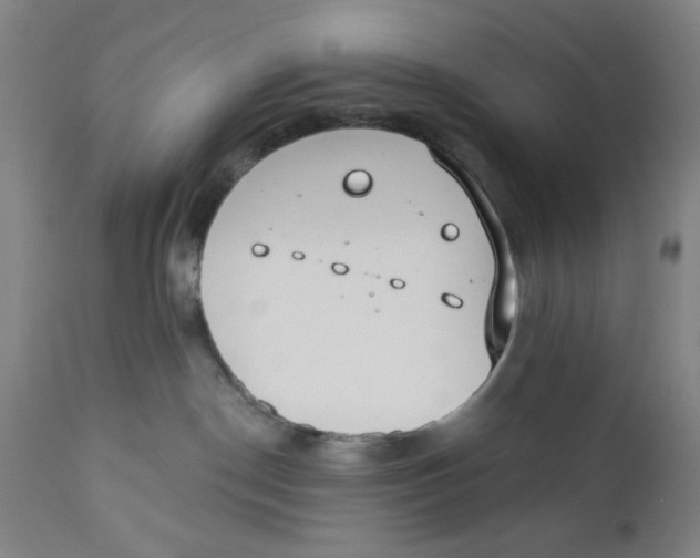 X0000110760190200907061104