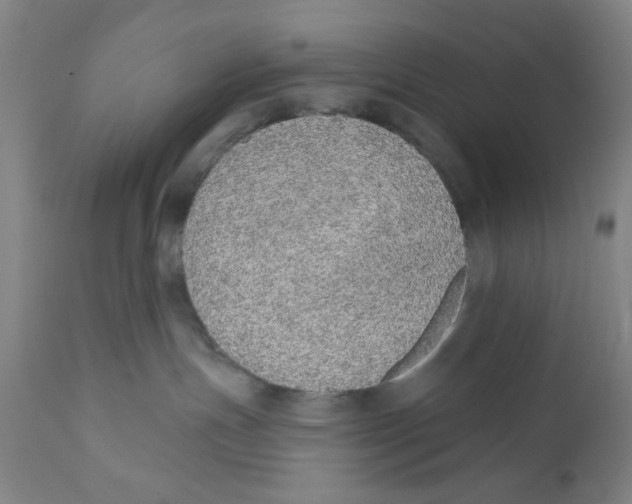 X0000110760191200907061104