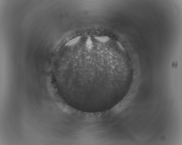 X0000110760192200907061104