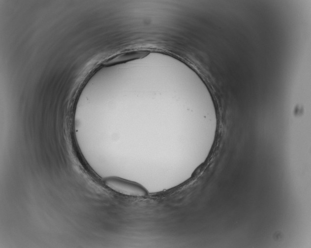 X0000110760193200907061103