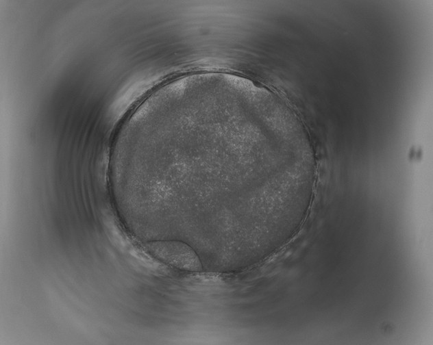 X0000110760194200907061103