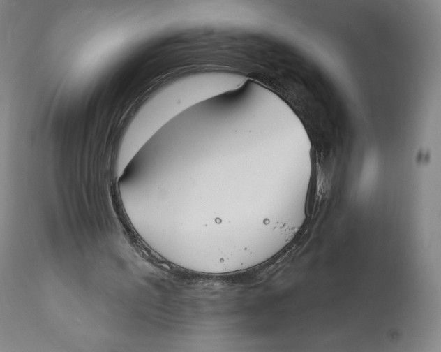 X0000110760195200907061103