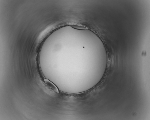 X0000110760197200907061103