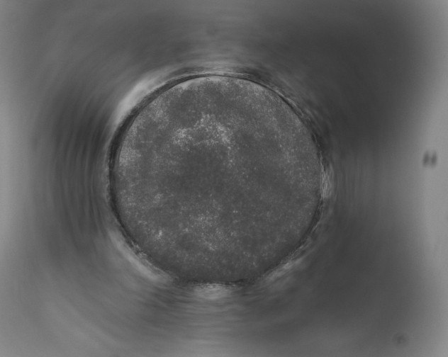 X0000110760198200907061103