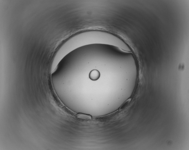 X0000110760201200907061103
