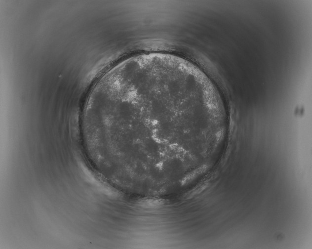 X0000110760202200907061103