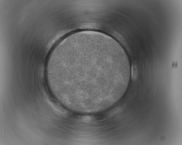 X0000110760204200907061103